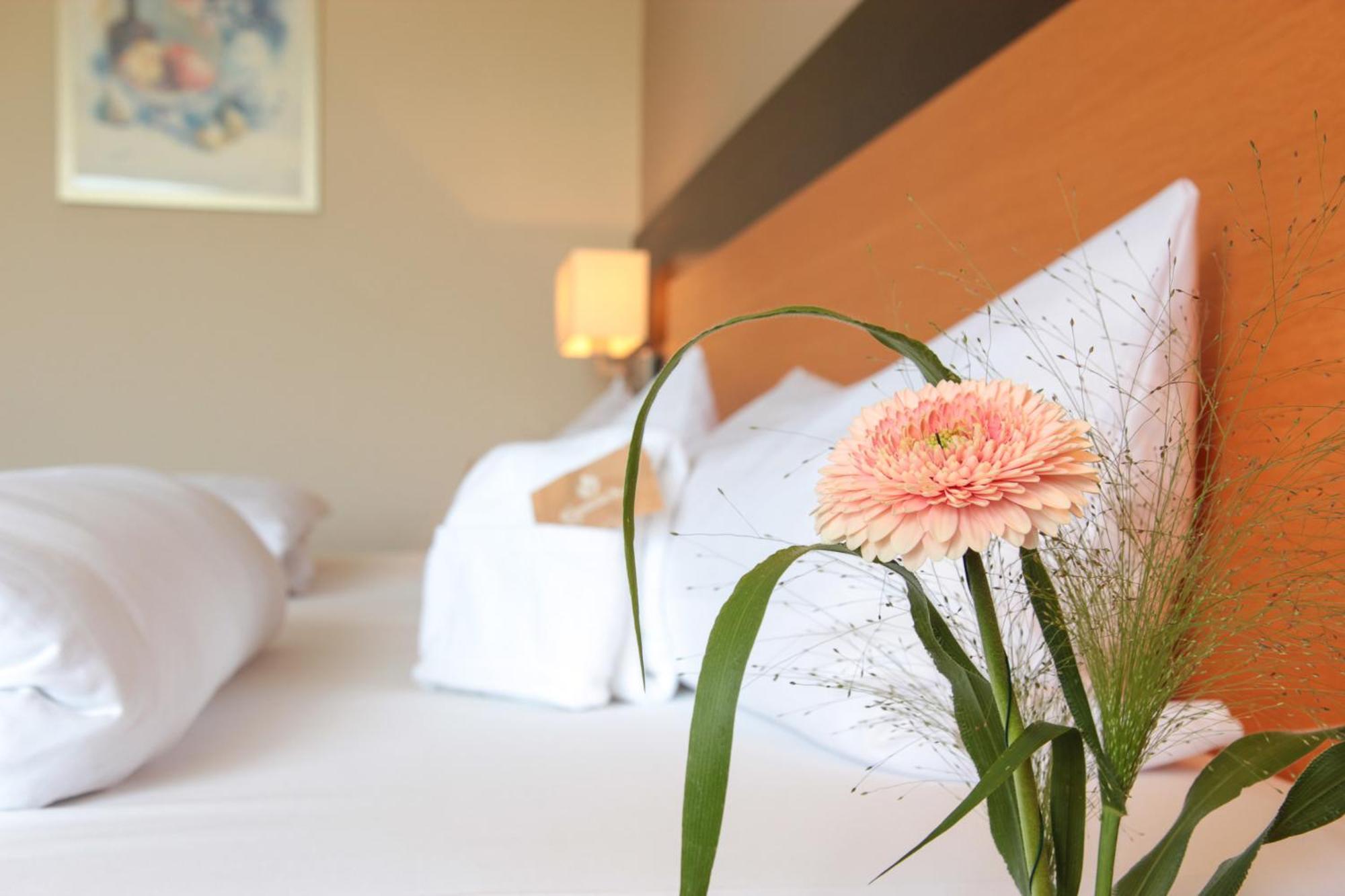 Hotel Leinsweiler Hof Eksteriør billede