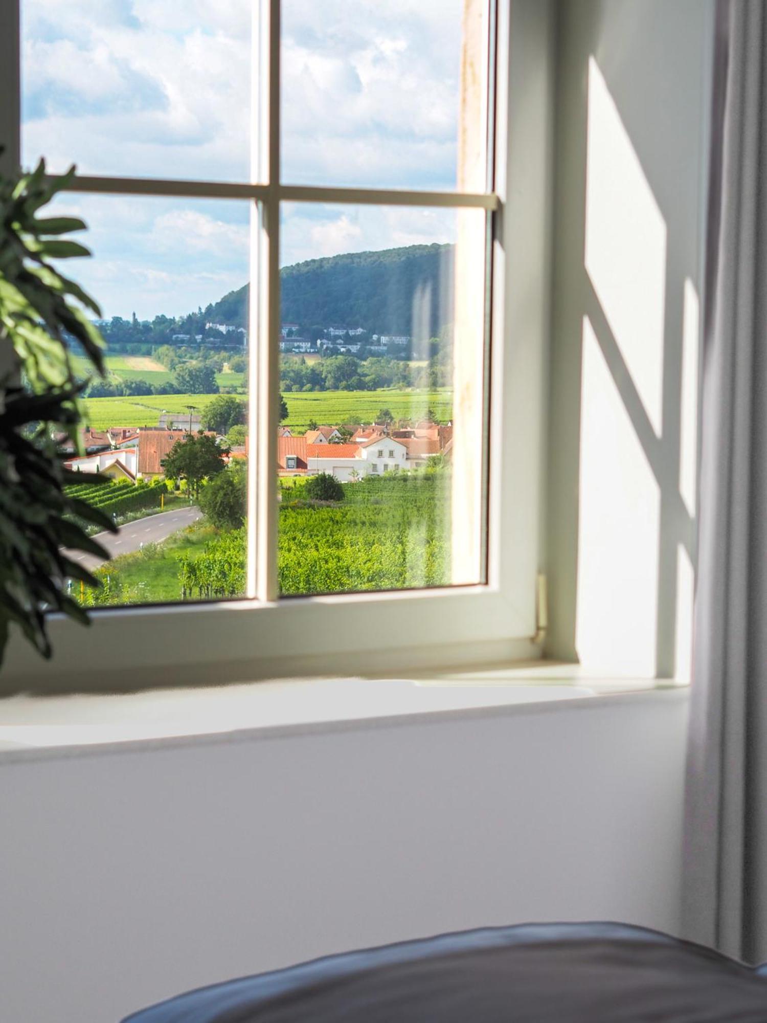 Hotel Leinsweiler Hof Eksteriør billede